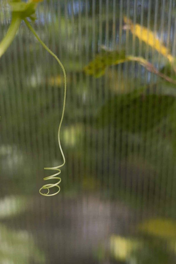 Comment les exercices de musculation peuvent-ils être adaptés aux besoins spécifiques des coureurs de haies ?